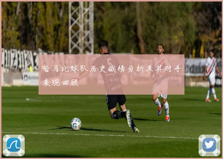 哈马比球队历史战绩分析及其对手表现回顾